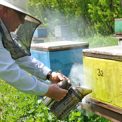Bee Hive Smoker 11-Inch Heavy Duty Stainless Steel