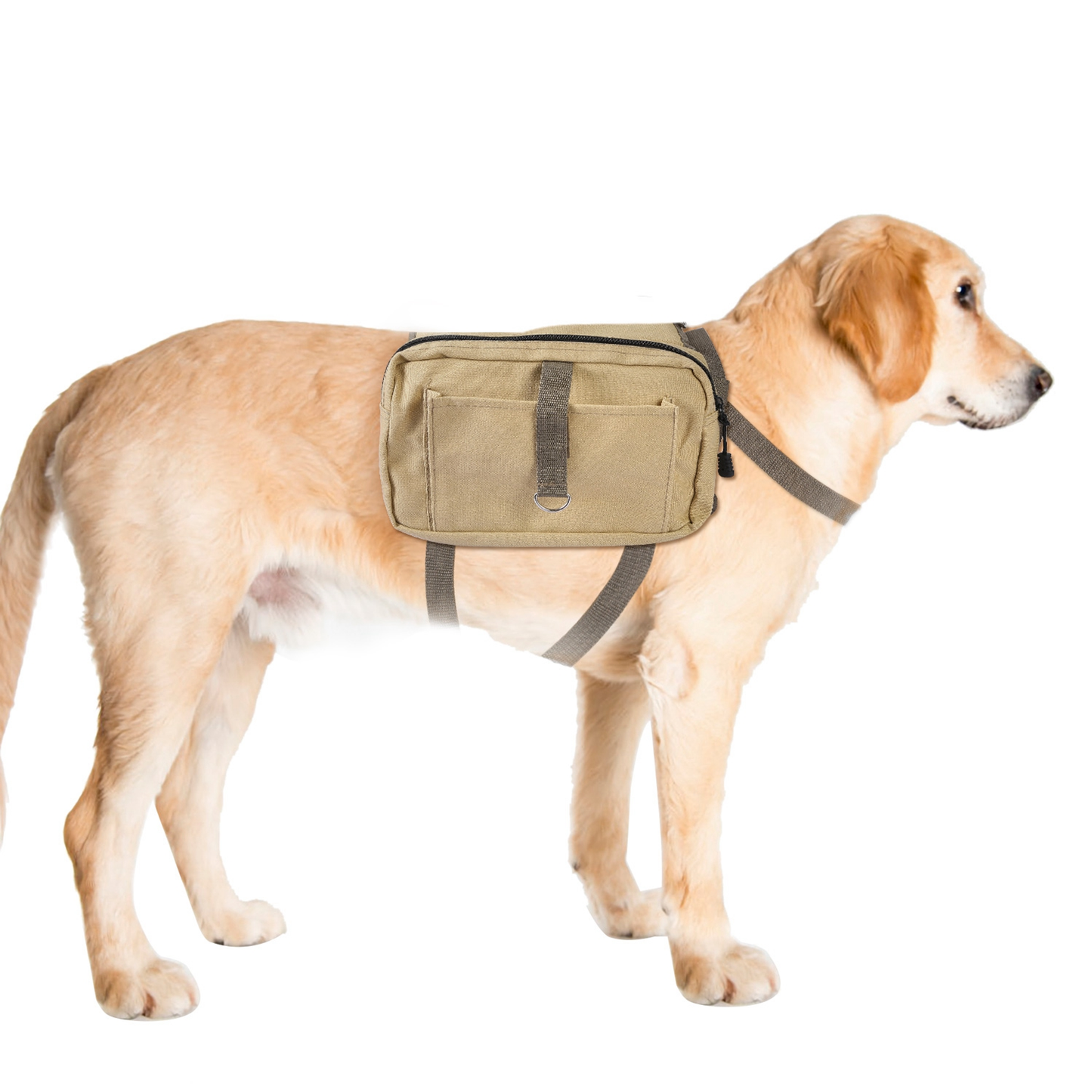 Pet Dog Backpack Saddle Bag for Hiking & Camping