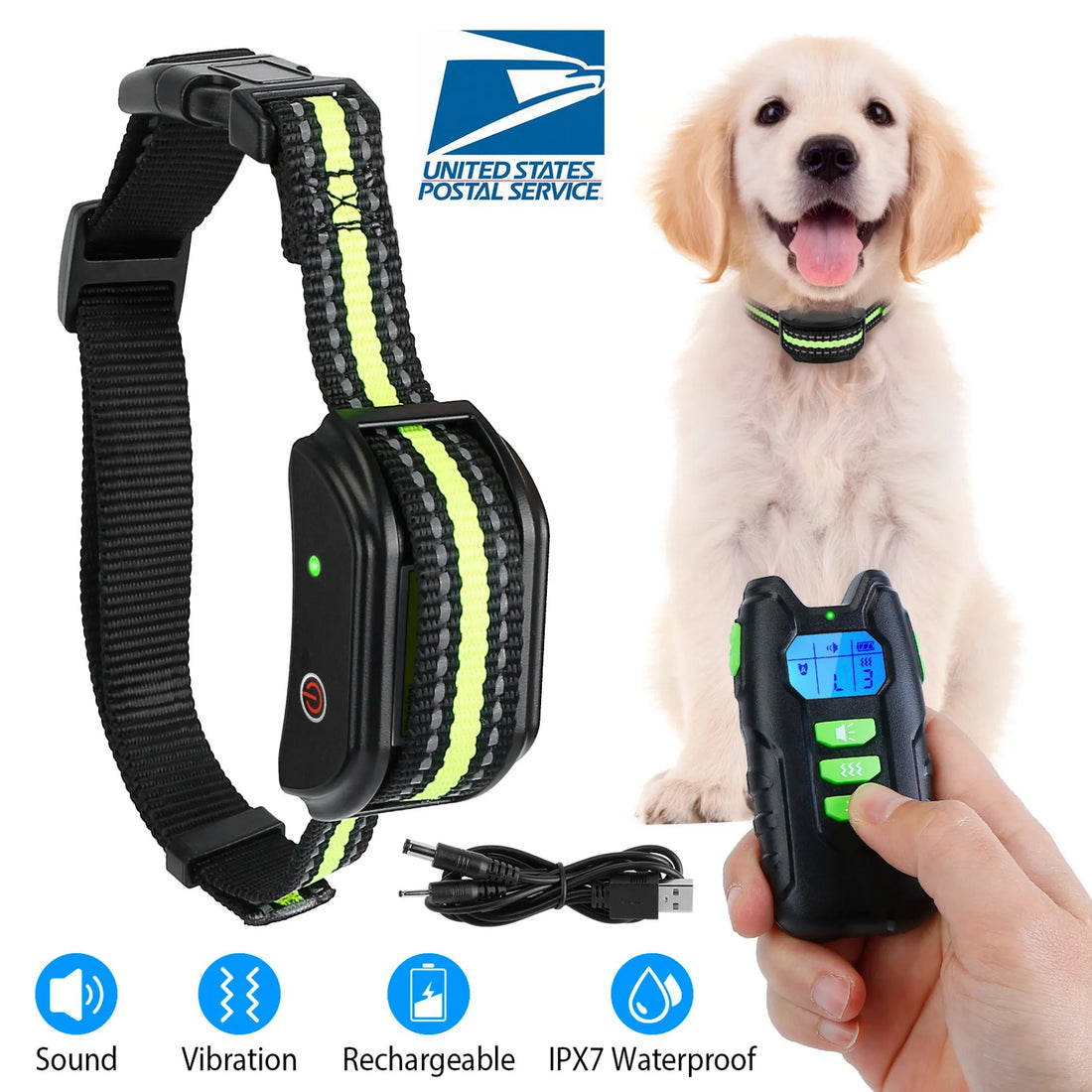 Dog Training Collar