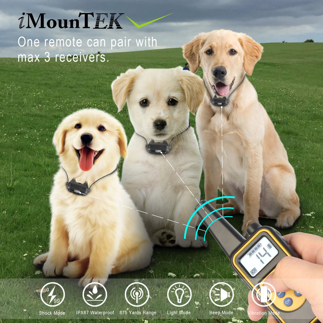 iMounTEK Dog Training Collar IP67 Waterproof Pet
