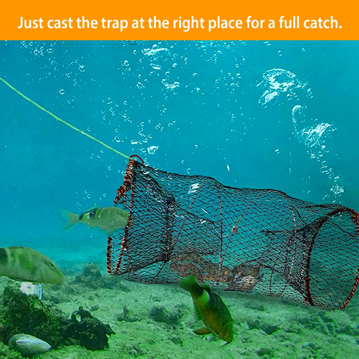 2-Piece Crab Trap Bait Nets for Shrimp and Lobster
