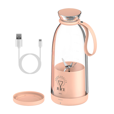 Portable 2-in-1 Fruit Blender, 16.9 oz