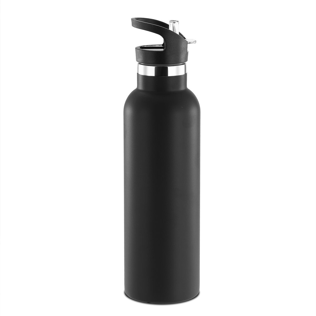 Insulated Stainless Steel Water Bottle, 2 Lids & Straws