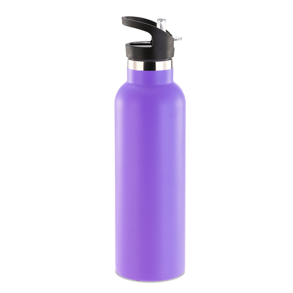750ml Insulated Stainless Steel Water Bottle