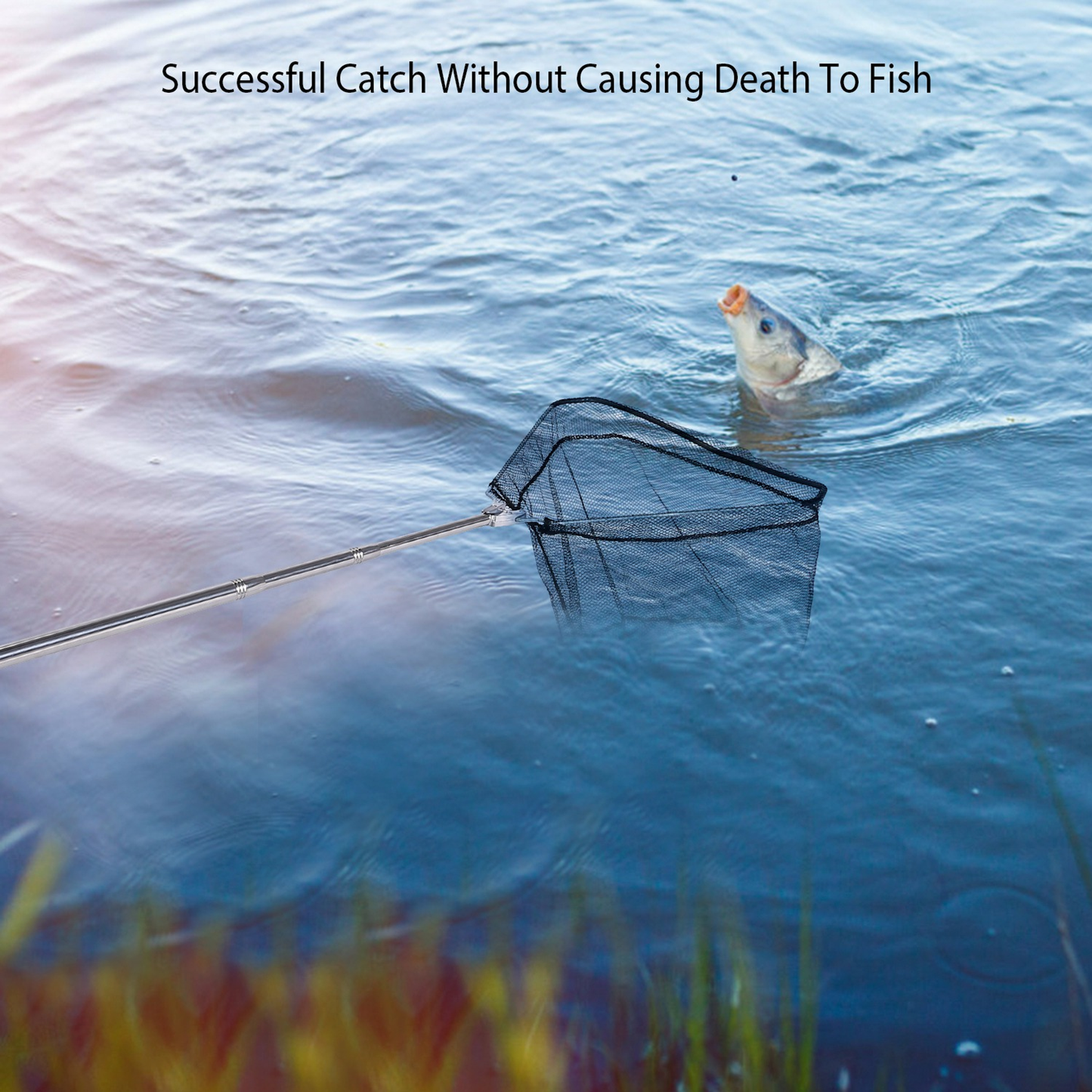 Foldable Fish Landing Net with Telescopic Handle