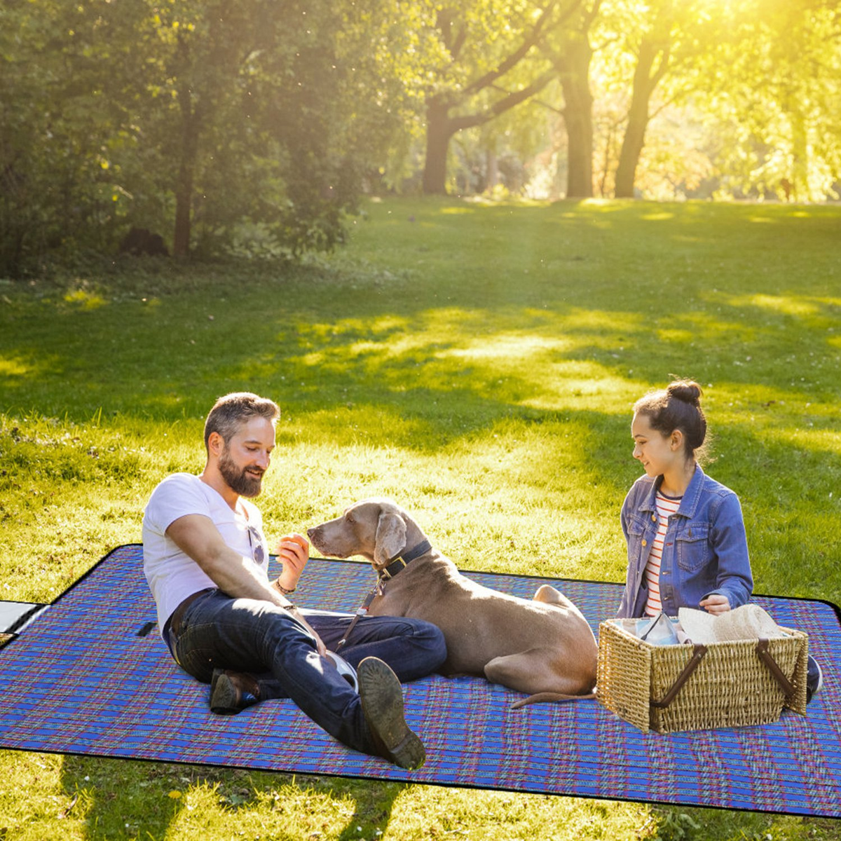 Waterproof Picnic Blanket 60 x 78 in, Blue