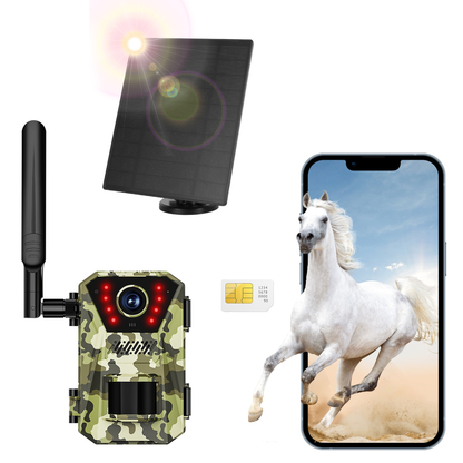 4G 4K Solar Trail Camera
