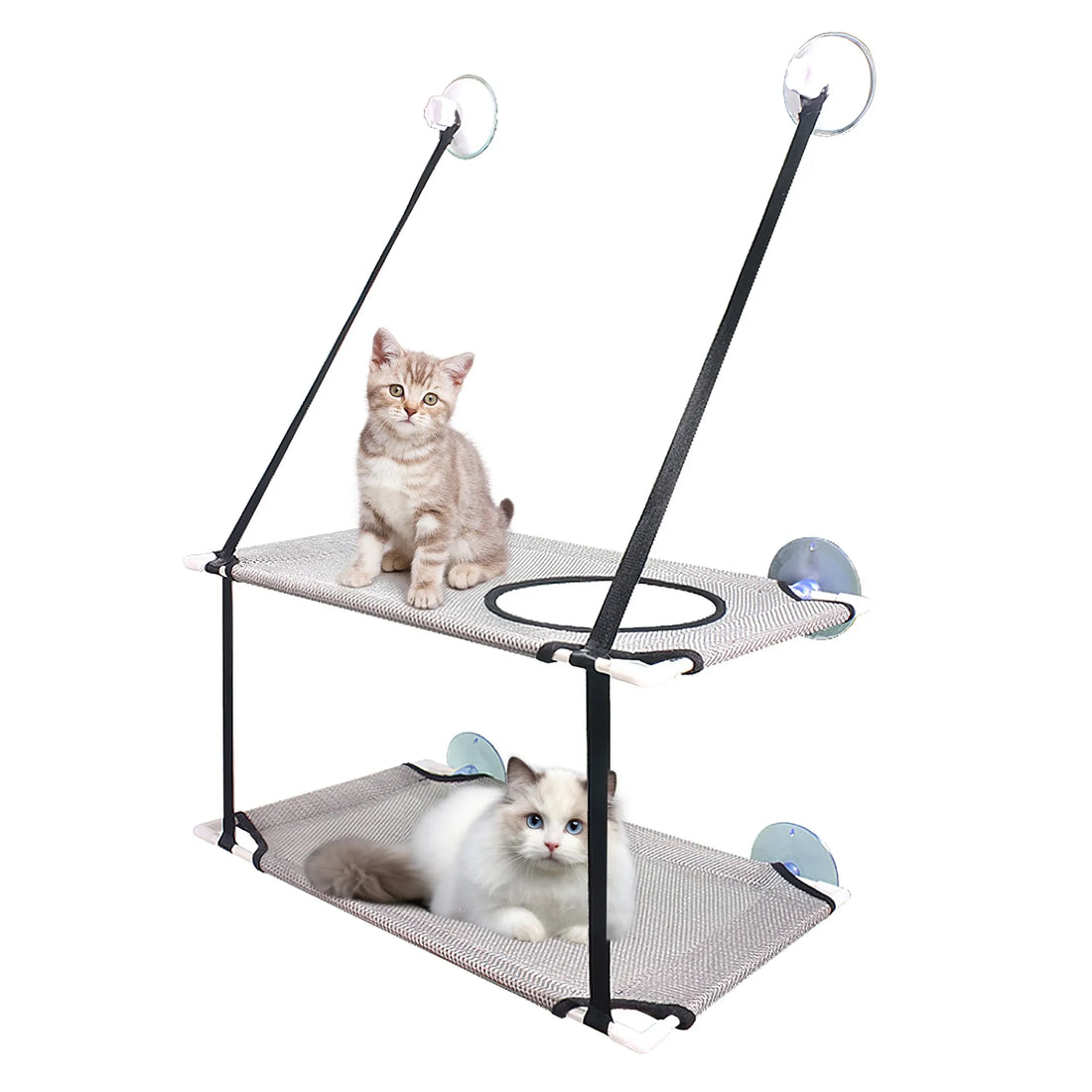 Indoor Window Hammock for Cat