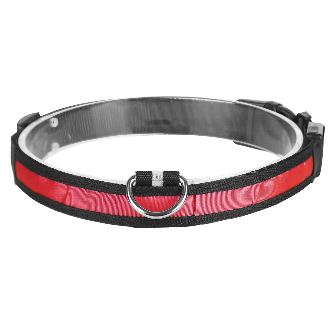 LED light-up dog collar visible from a distance at night