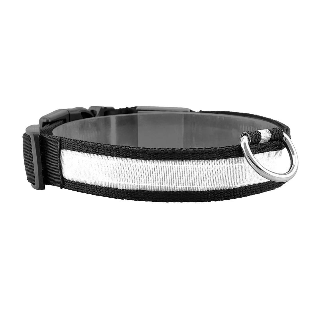 LED Dog Collar