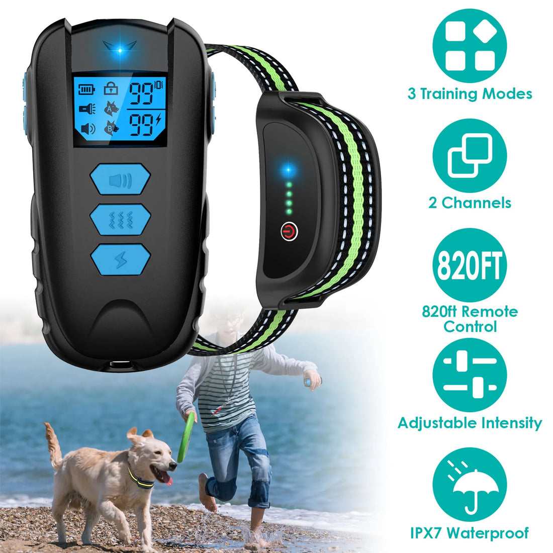 Dog Training Collar
