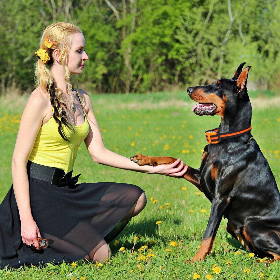 Dog Training Collar IP67 Waterproof Pet Beep