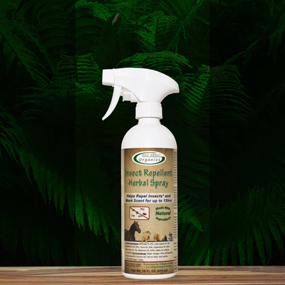 Organic Herbal Insect Repellent Spray