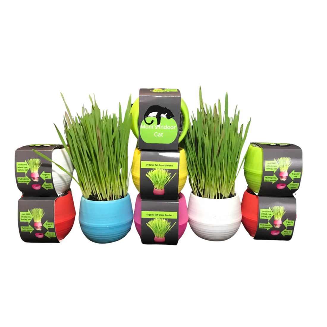 Cat Grass Balls