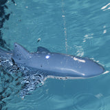 Electric Remote Control Water Jet Shark Toy