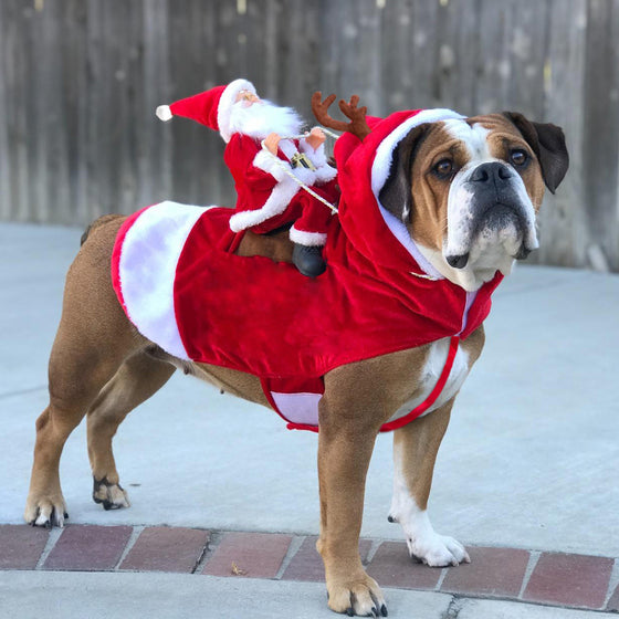 Santa Riding Reindeer Dog Costume, Funny Christmas Pet Outfit