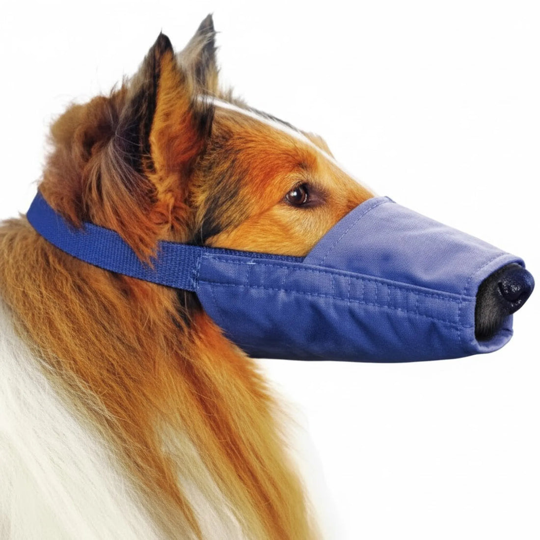 Quick Muzzle for Long Snout Dogs