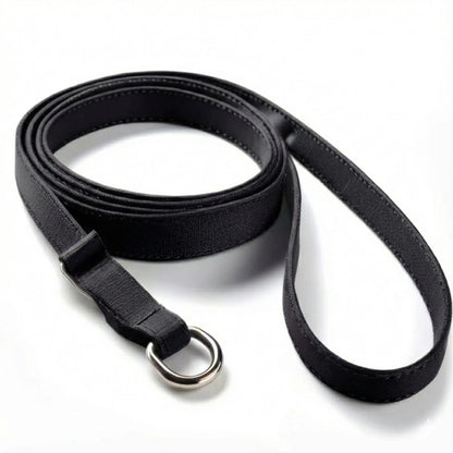 Pet Slip Leash