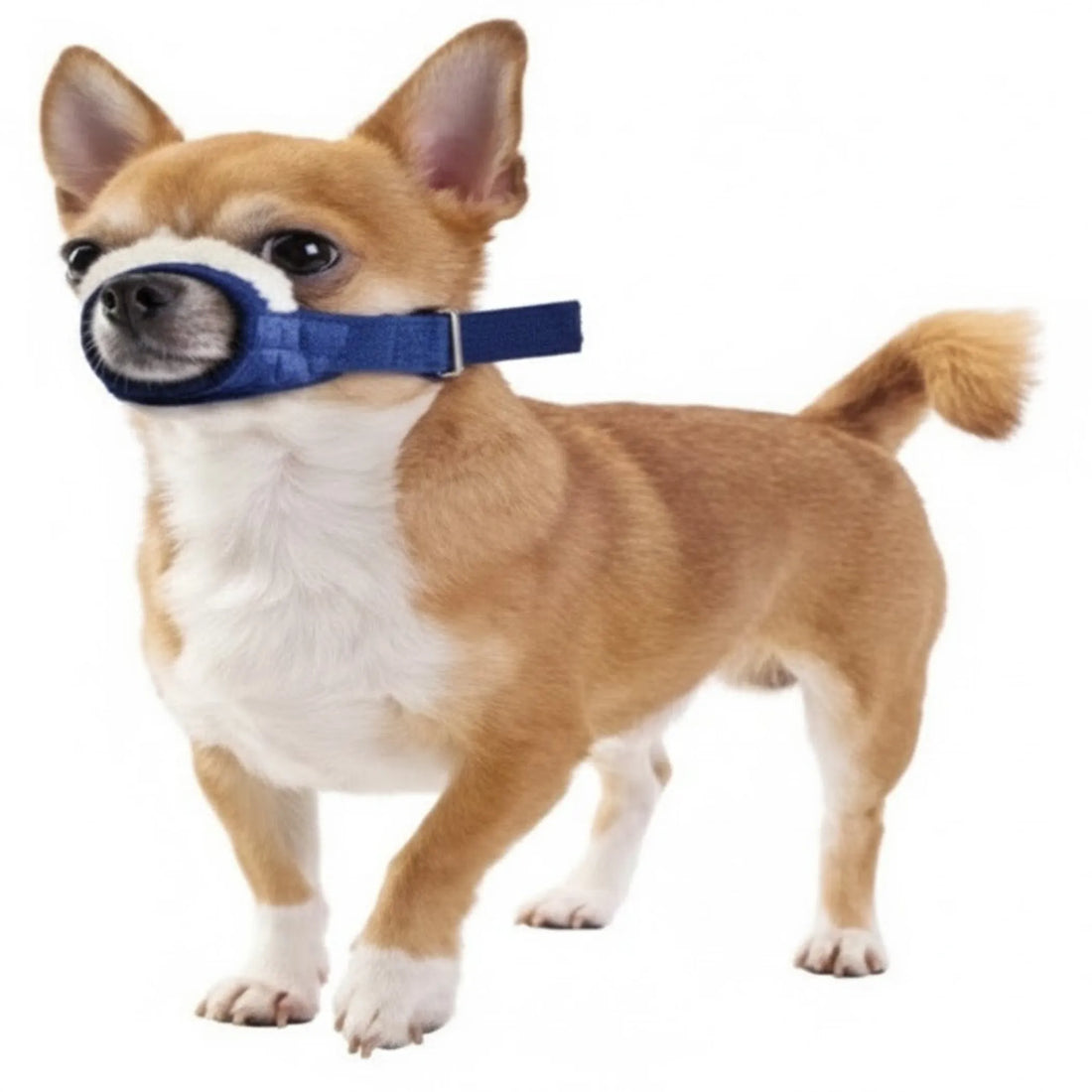 Cozy Quick Muzzle for Dogs