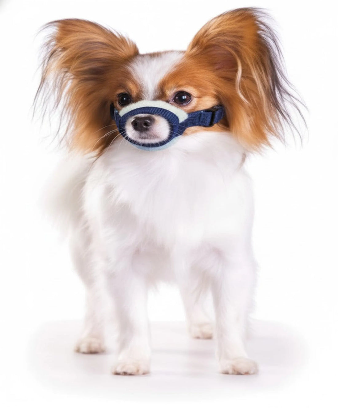 Cozy Quick Muzzle for Dogs