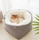 Small dog resting with paws draped over the bed's rim