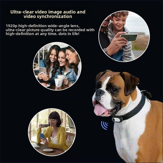 Pet Camera Recorder Training & Containment product image 3