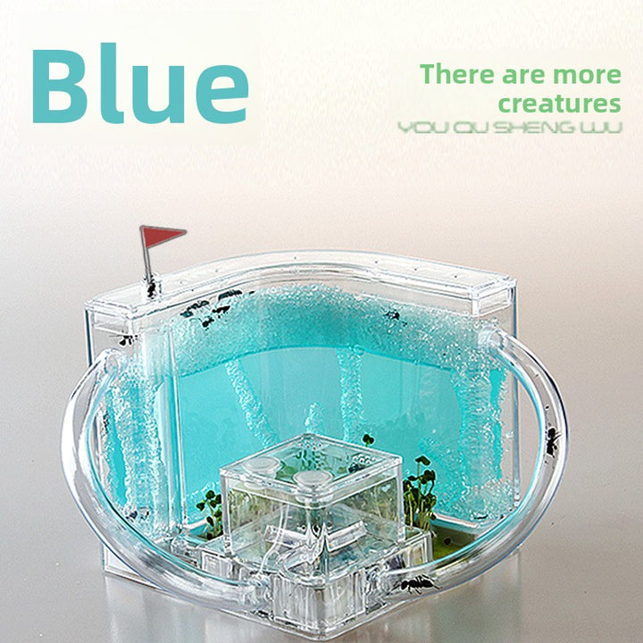 ant habitat toy