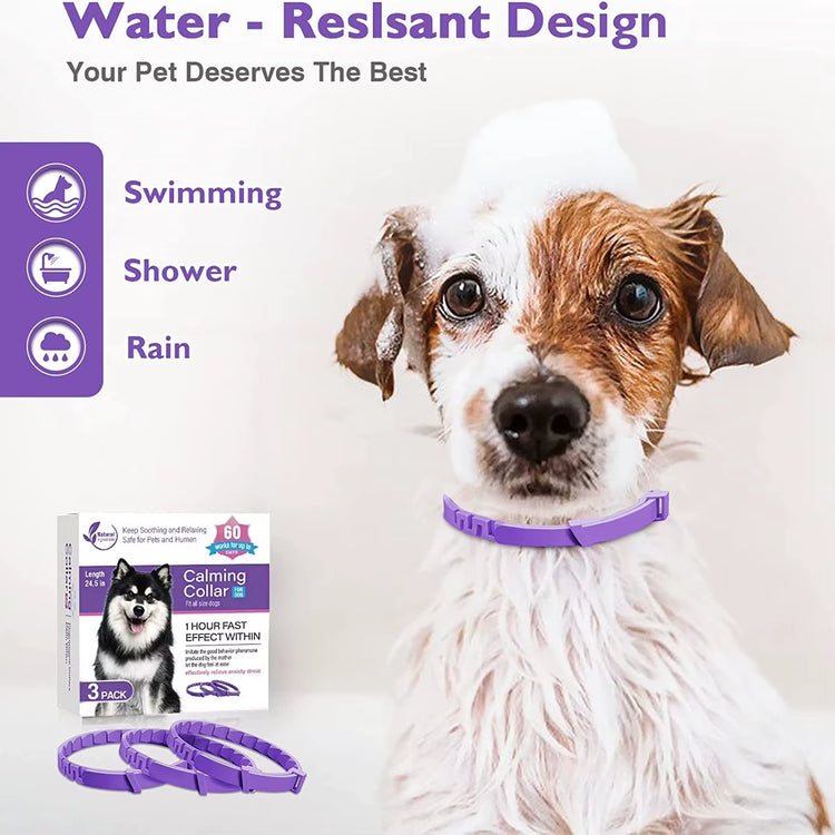 Calming collar packaging with single collar