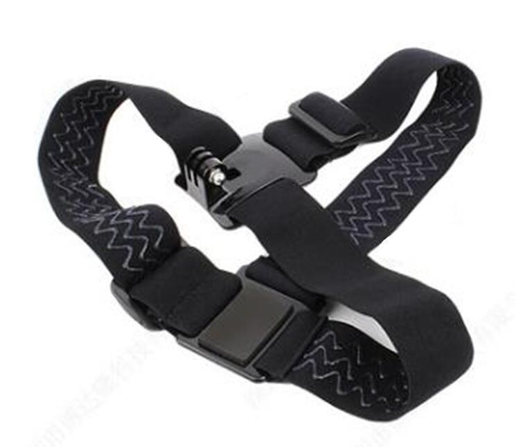 Head-mounted mobile phone holder
