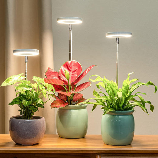 Adjustable LED Plant Growth Light