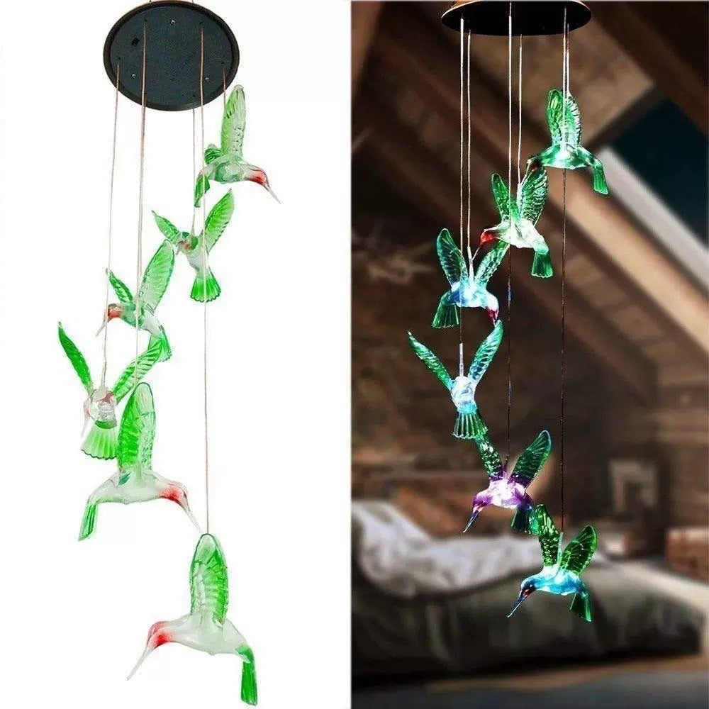 Solar Powered Outdoor Decorative Light