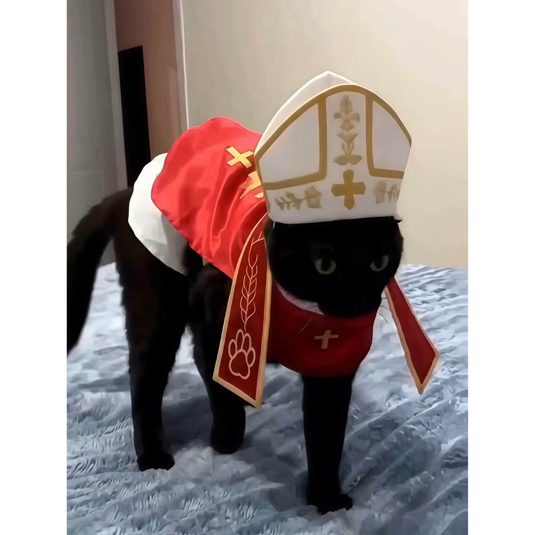 Small and medium-sized dog and cat pet clothing