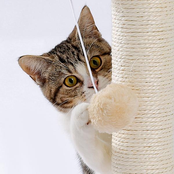 Cat reaching for the hanging pom-pom beside the sisal post