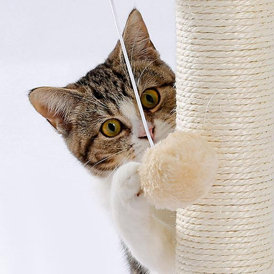 Cat reaching for the hanging pom-pom beside the sisal post