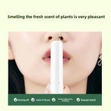 Mint Scent Nasal Inhaler Stick for Refreshment