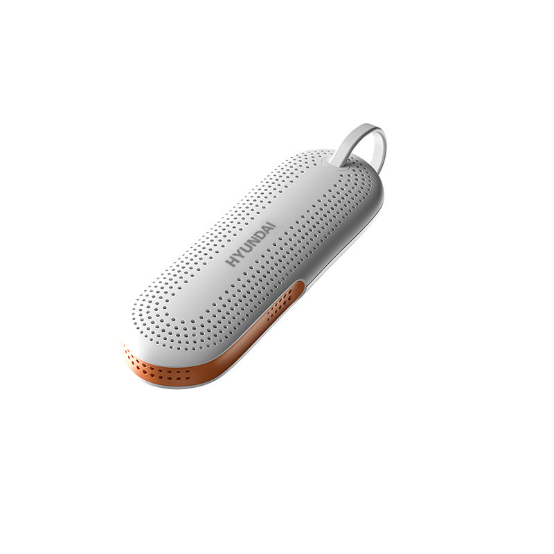 Portable Electric Shoe Dryer with Timer, Deodorizer and Sterilizer, Quick Drying Shoe Warmer for Home
