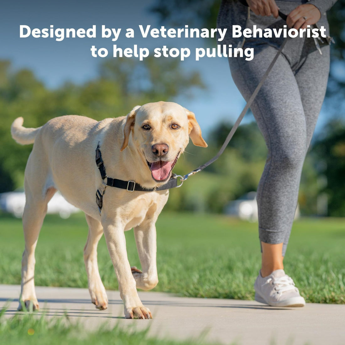 Adjustable nylon no-pull vest harness for dogs, photo 2
