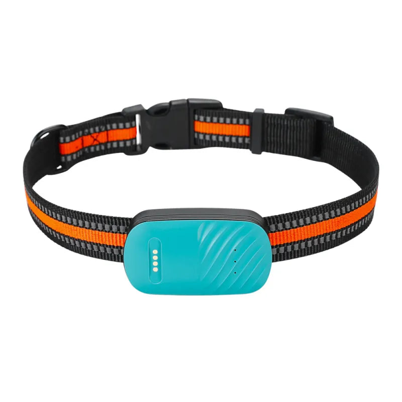 All-Weather Pet Locator