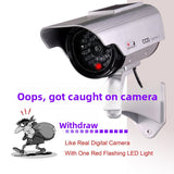 Simulated camera