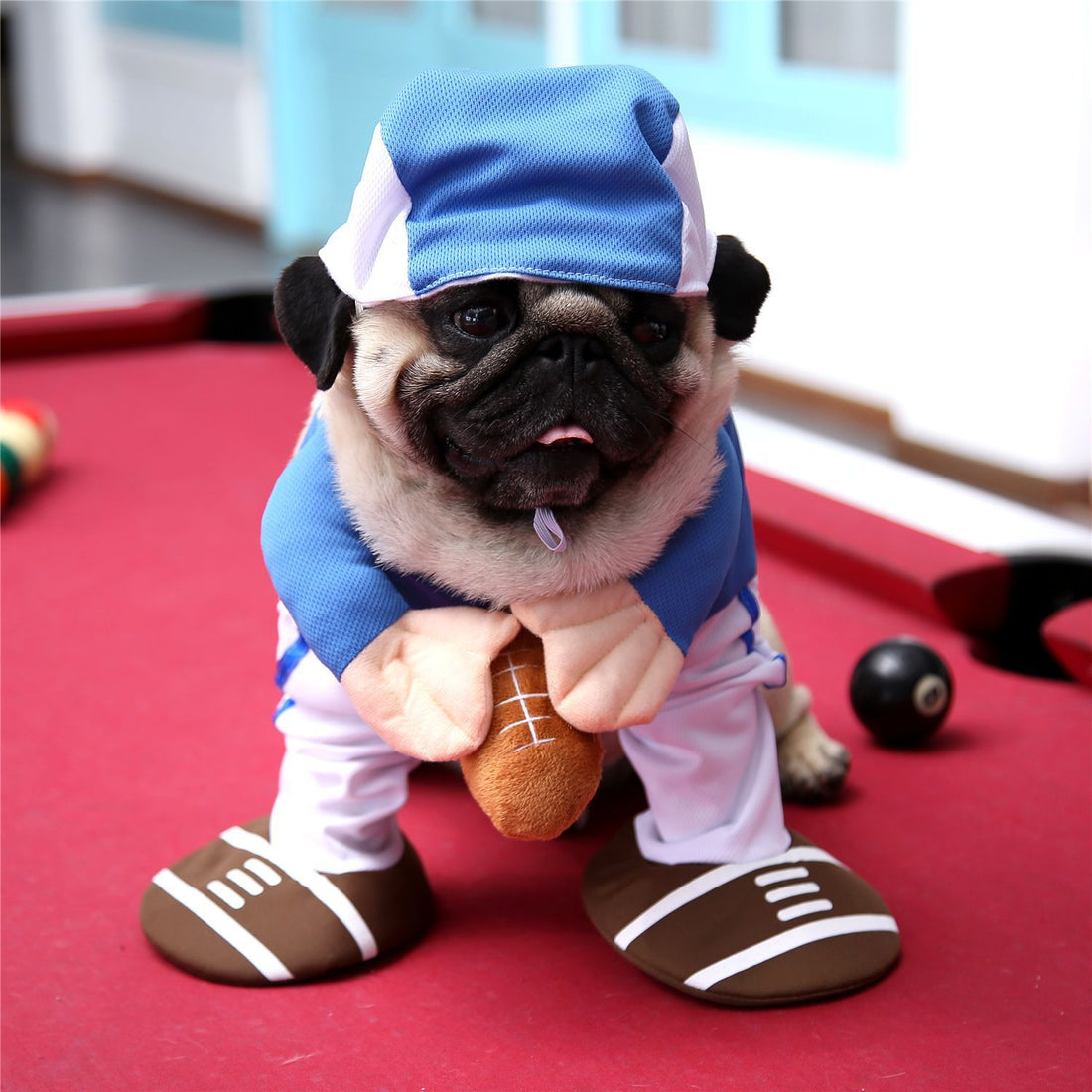 Funny Pet Halloween Costume Upright Outfit