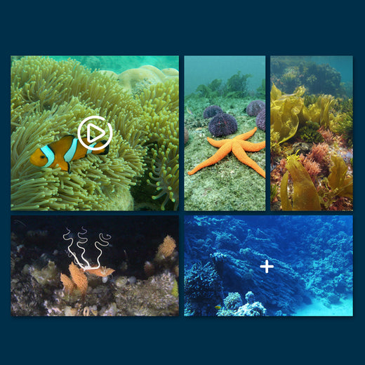 Wifi Remote Control Underwater Camera Boat product image 4