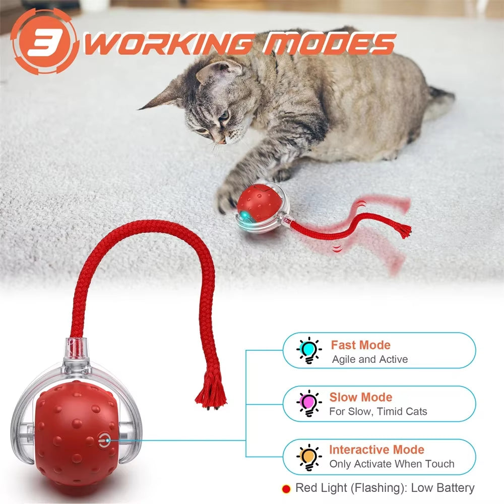 Interactive Cat Toy Ball USB Rechargeable Motion Activated Automatic Ball Waving Tail with Bird Chirp Sound for Indoor Cats