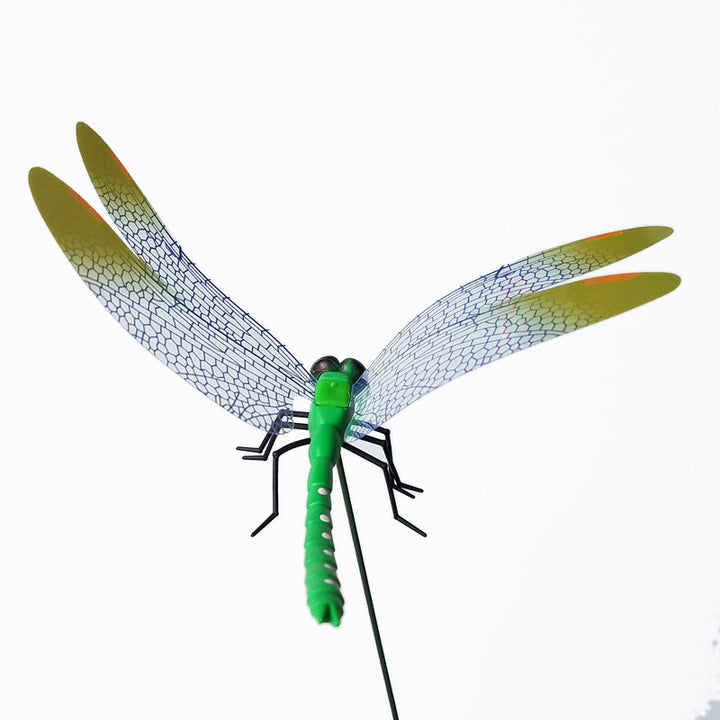 Dragonfly decoration color options