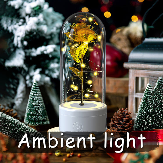 Gold rose glass dome lamp on a white speaker base, ambient light scene