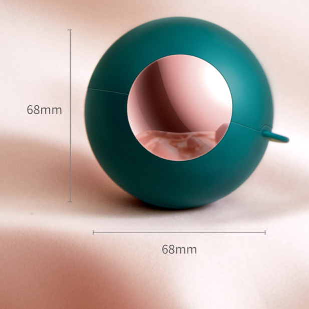 Washable Lint Roller for Home Use