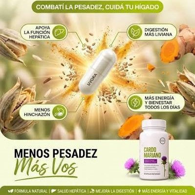 Milk Thistle Capsules Dietary Supplement