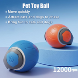 Cat chasing the Speedy Tail interactive ball toy