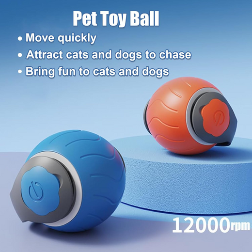 Cat chasing the Speedy Tail interactive ball toy