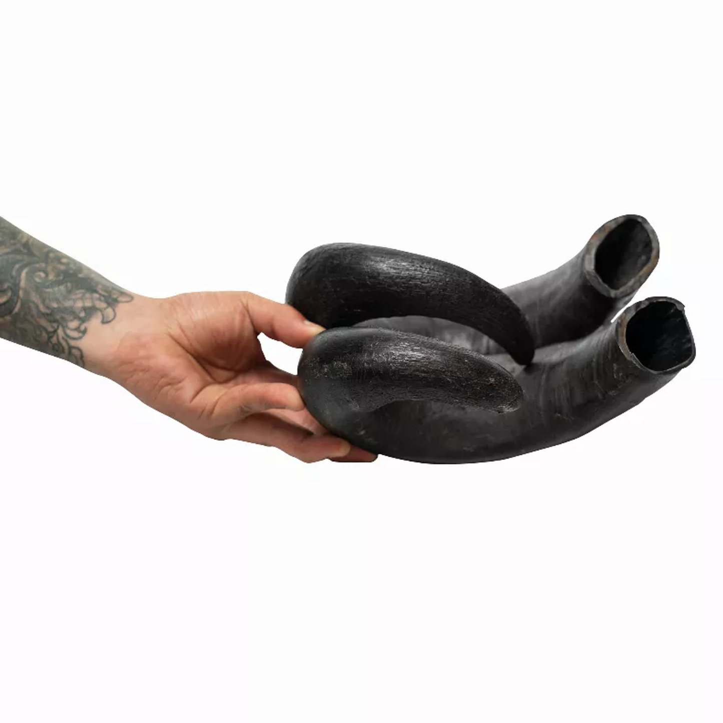 Water Buffalo Horn Dog Chews - 2 Count