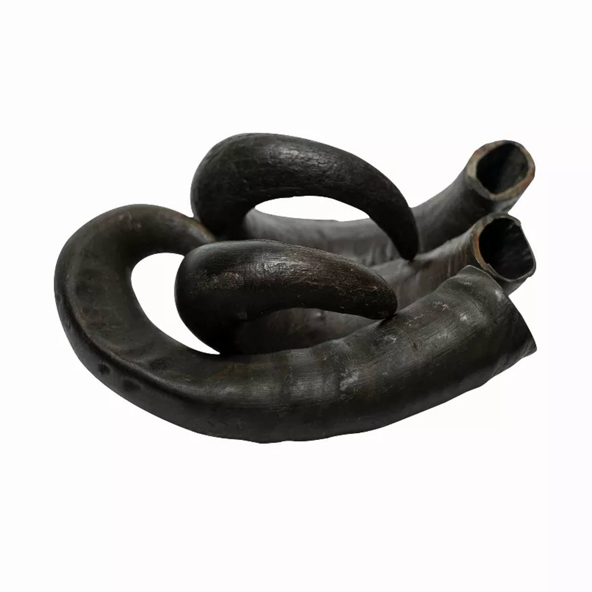 Water Buffalo Horn Dog Chews - 2 Count